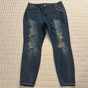 16W Judy Blue Distressed Skinny Jeans